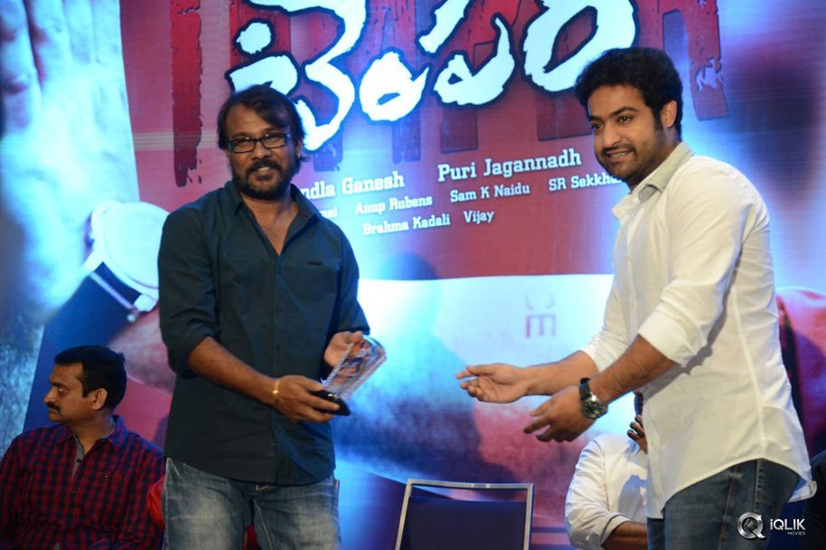 Temper-Movie-Success-Meet